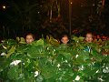 133DSC08984