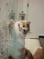 37DSC03623